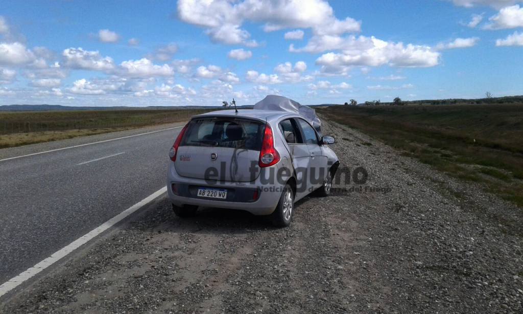 choque con guanaco1