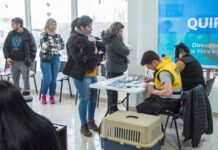 Este sábado, se realizará una nueva jornada de vacunación, colocación de chip y adopción de mascotas