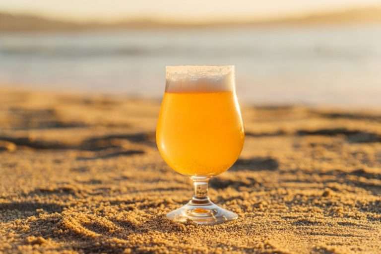 Lograron desarrollar en la Argentina una cerveza sin gluten apta para celíacos