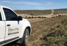 El RENATRE cerró un 2025 sobrepasando las metas de gestión y definió los nuevos desafíos 2026