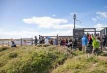 El Centro de Interpretación ambiental ofrece nuevas actividades durante febrero