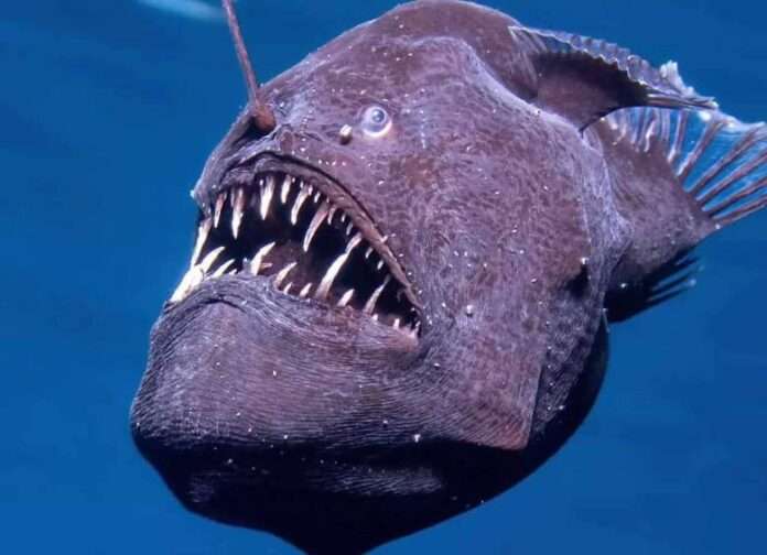 WhatsApp Image 2025-02-10 at 17.21.21