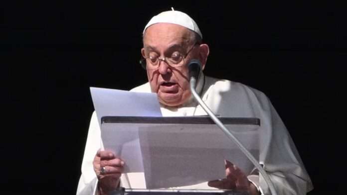 WhatsApp Image 2025-02-17 at 10.31.28