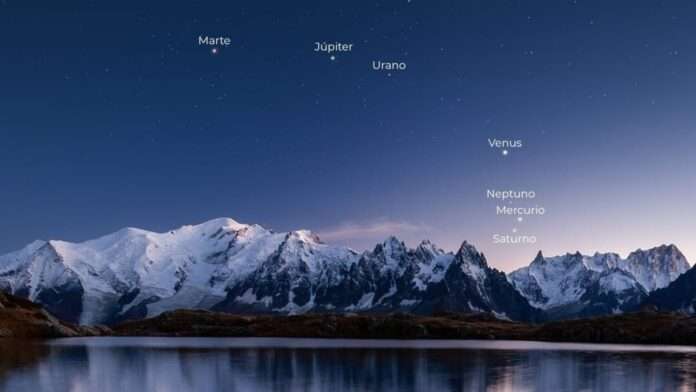 WhatsApp Image 2025-02-28 at 11.16.22