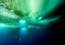 Científicos descubren una red oculta de más de 300 cañones gigantes, bajo el hielo de la Antártida