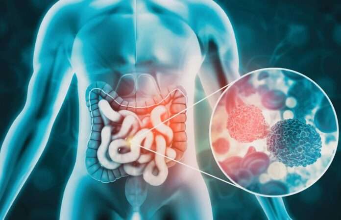 WhatsApp Image 2025-09-17 at 15.53.16