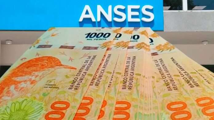 WhatsApp Image 2025-10-28 at 10.20.54