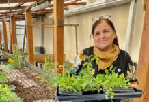 Nueva entrega de plantines hortícolas a instituciones educativas de Río Grande
