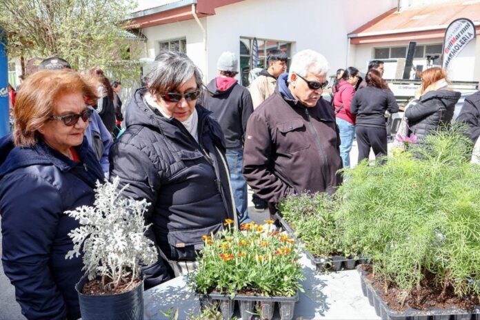 WhatsApp Image 2025-11-05 at 13.36.24