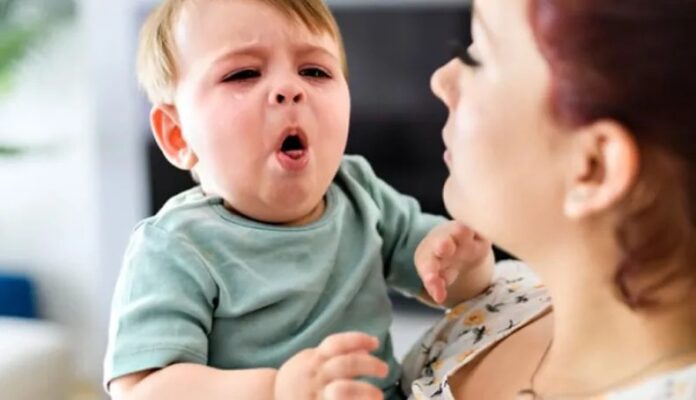 WhatsApp Image 2025-11-10 at 13.10.02