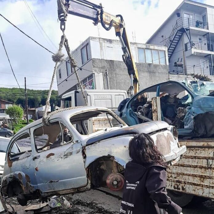 WhatsApp Image 2025-11-13 at 23.34.56