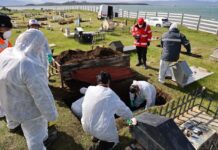 Exhumaron dos cuerpos para determinar la filiación en el marco de un juicio sucesorio