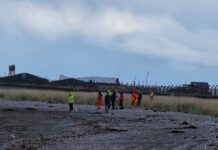 Aparecen restos óseos en la costa y ordenan pericias para determinar su origen