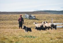 RENATRE aumenta la Prestación por Desempleo a $346.500 a partir del 1° de diciembre