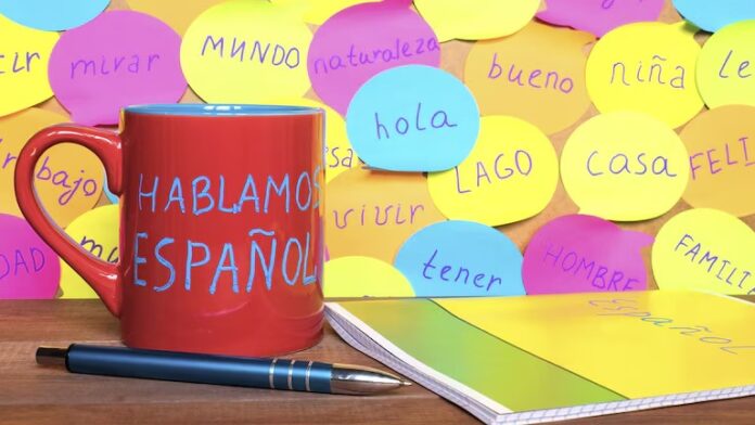 WhatsApp Image 2025-12-02 at 14.40.53