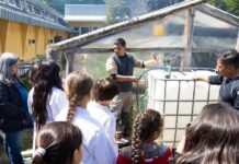 Impulsan el desarrollo de energías renovables en escuela de Lago Escondido