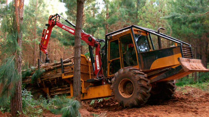 Selva-1