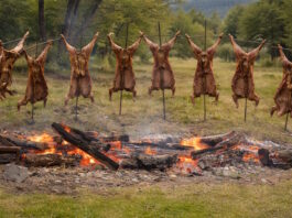 Porvenir ultima detalles para el XXIII Campeonato de Asado Internacional Más Grande de Tierra del Fuego y la Patagonia