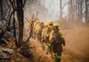 Más de 500 personas combaten los incendios forestales en la Patagonia