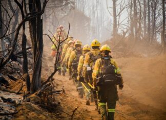 Más de 500 personas combaten los incendios forestales en la Patagonia