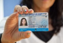 Licencia Nacional de Conducir: cómo tramitarla o renovarla en Río Grande