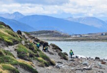Bahía Golondrina: cerca de 45 voluntarios participaron de una jornada de limpieza