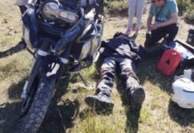 Turista en moto rumbo a Ushuaia chocó con un guanaco en la Ruta 3