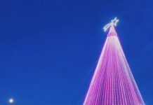 Este viernes se pone en marcha un patio gastronómico y cultural en el Parque de los 100 Años