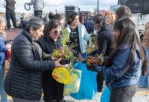 Se entregaron más de 11 mil plantines en el Parque de los 100 Años