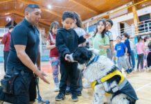 Promueven la tenencia responsable de mascotas en las colonias de verano