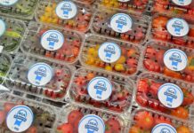 RGA Alimentos: encontrá productos frescos todo el año