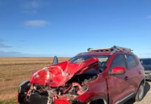 Impactó contra un guanaco en cercanías de Estancia Sara