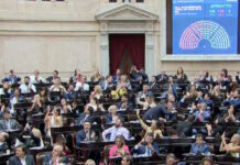 Diputados aprobó la reforma laboral con 135 votos a favor y 115 en contra, la ley volverá al Senado