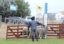 La Fiesta del Ovejero celebra su 52° edición en la Misión Salesiana