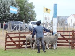 La Fiesta del Ovejero celebra su 52° edición en la Misión Salesiana