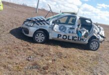 Ruta 3: un guanaco provocó el vuelco de un móvil policial