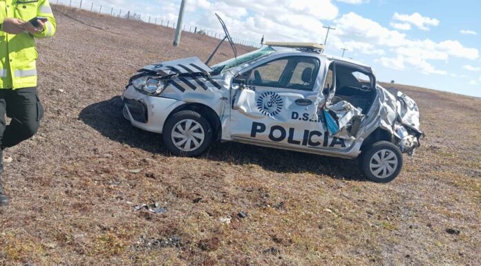 Ruta 3: un guanaco provocó el vuelco de un móvil policial
