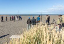 Se llevó adelante un taller sobre “Introducción a la investigación de aves playeras y la tecnología MOTUS”