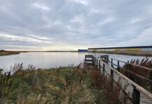 Río Grande fortalece las políticas públicas ambientales en la ciudad