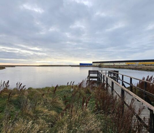 Río Grande fortalece las políticas públicas ambientales en la ciudad