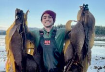 Saberes ancestrales de Vancouver sobre el alga kelp: ¿un modelo posible para Tierra del Fuego?