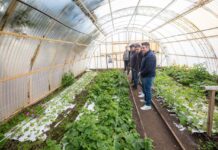 Río Grande impulsa la primera Chacra Agroexperimental Municipal de Tierra del Fuego