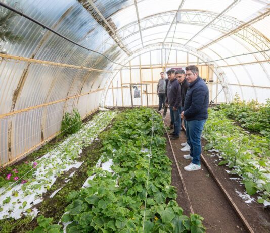 Río Grande impulsa la primera Chacra Agroexperimental Municipal de Tierra del Fuego