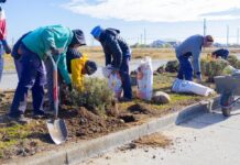 Incorporan flora nativa en los distintos espacios verdes de Río Grande