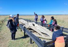 Durante abril, sumate a las actividades del Centro de Interpretación Ambiental