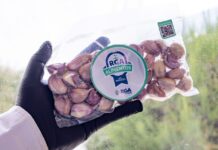 «RGA Alimentos»: inició la venta al público de ajos violetas