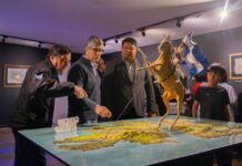 Se inauguró la muestra dedicada a la causa malvinera en el Museo “Virginia Choquintel