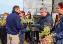 Canjeá latas por plantines en una jornada ambiental para toda la comunidad