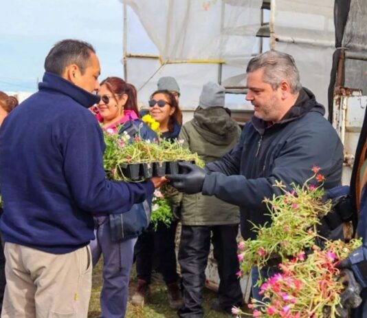 Canjeá latas por plantines en una jornada ambiental para toda la comunidad