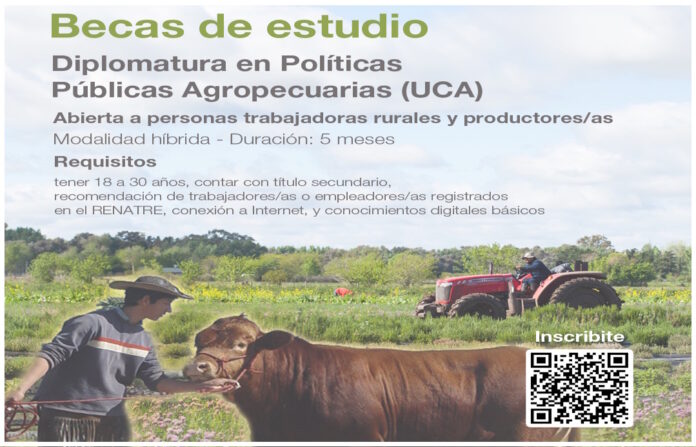 renatre-becas